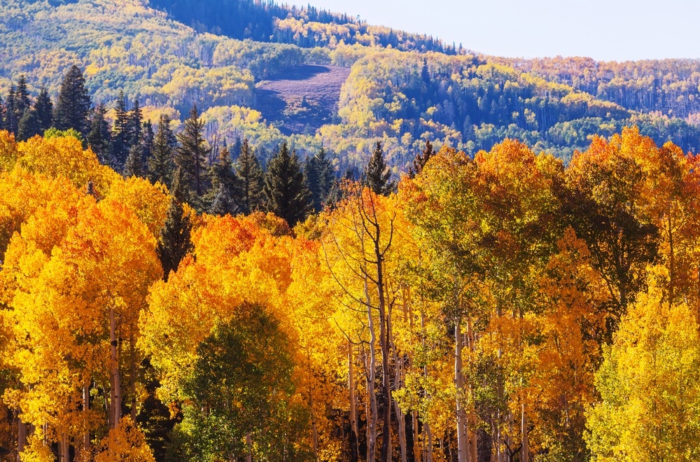 
4 Great Colorado Destinations to Visit in Your RV This Fall
